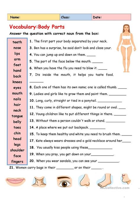 Body Reading, Human Body Vocabulary, Human Body Worksheets, Materi Bahasa Inggris, Vocabulary Exercises, Esl Vocabulary, English Activities For Kids, English Teaching Resources, English Exercises