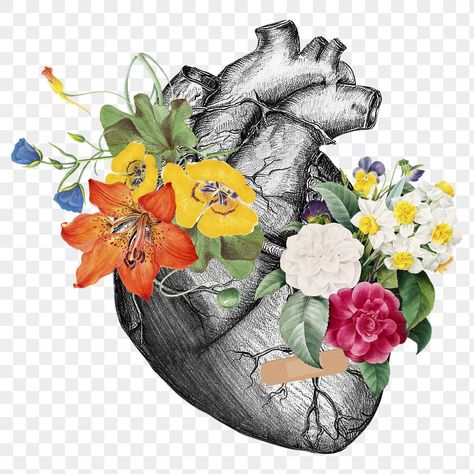 Heart With Transparent Background, Collage Png Aesthetic, Art Png Aesthetic, Collage Elements Png, Heart Png Aesthetic, Stickers Png Aesthetic, Collage Art Png, Flower Png Aesthetic, Transparent Background Aesthetic