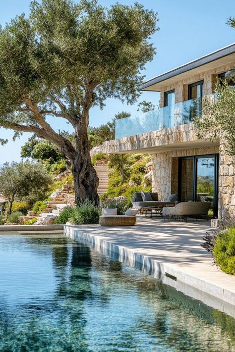 Dream Farm Homes, Luxury Villa Exterior, Mediterranean House Exterior, Mediterranean Villa Design, Olive Tree Garden, Farm Pool, Olive Trees Garden, Mediterranean Houses, Luxury Mediterranean Homes