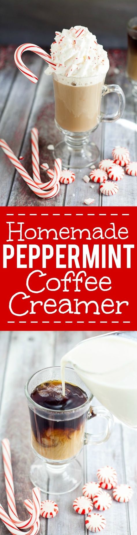 Peppermint Mocha Coffee Creamer, Peppermint Coffee Creamer, Peppermint Mocha Coffee, Homemade Peppermint Mocha, Peppermint Mocha Creamer, Mocha Creamer, Diy Coffee Creamer, Peppermint Coffee, Homemade Coffee Creamer