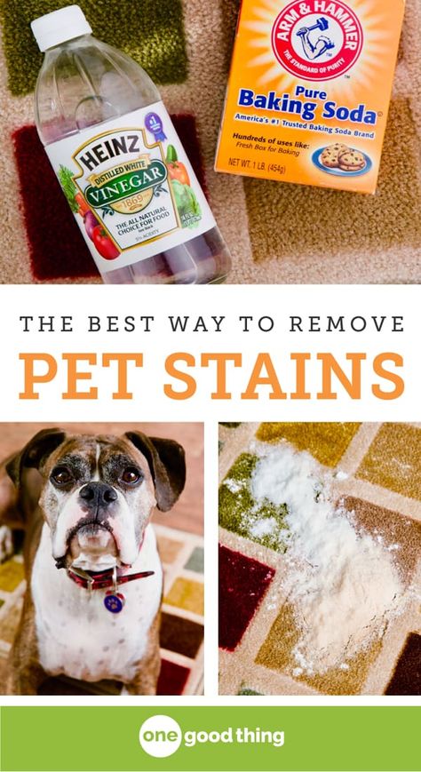 This is the simplest and most effective method for removing a pet stain from carpet! All you need is a little vinegar, some baking soda, and a bit of patience. Be sure to check out the before-and-after photos at the end of the post—you have to see it to believe it! Uses Of Baking Soda, Carpet Diy, Homemade Toilet Cleaner, Remove Pet Stains, Clean Baking Pans, Carpet Stain, Cleaning Painted Walls, Glass Cooktop, Apartment Decoration