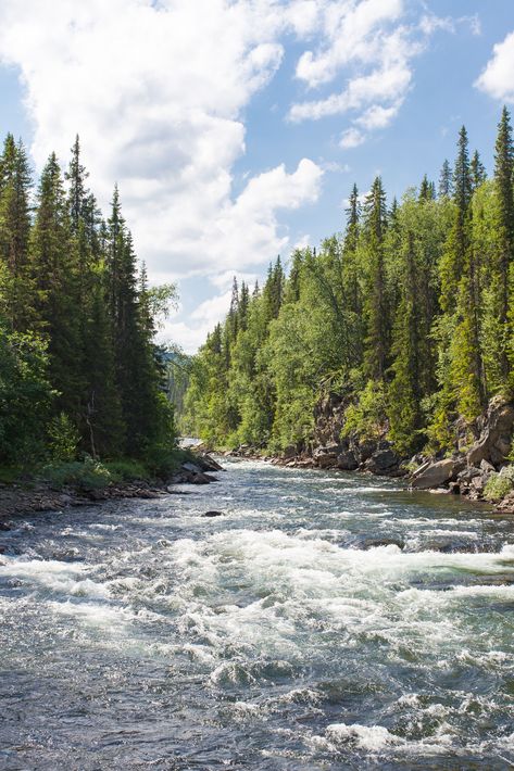 10 Best River Trips in the West White Water Rafting Aesthetic, Whitewater Rafting Aesthetic, Rafting Aesthetic, Aesthetic River, Wyoming Trip, River Background, Slow Summer, Devney Perry, Grad Trip