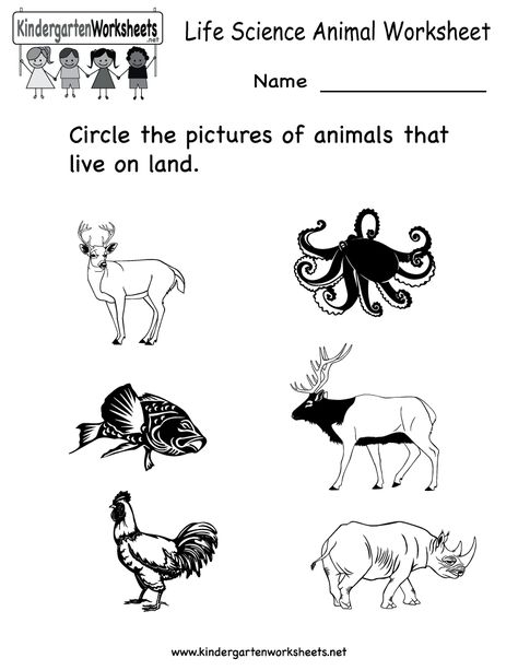 Free Printable Animal worksheet for kids | Crafts and Worksheets for Preschool,Toddler and Kindergarten Free Science Worksheets, Science Printables, Science Doodles, Animal Classification, Land Animals, Animal Worksheets, Learning Worksheets, Animal Science, Kindergarten Science