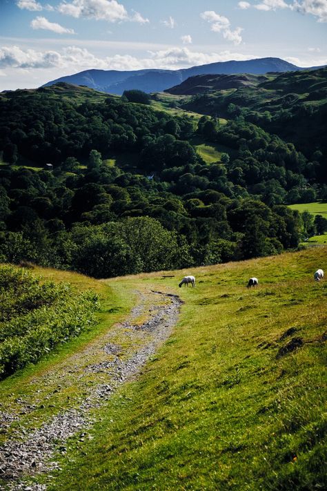 Sweden Mountains, Mountain Summer, Lake District England, The Lake District, Lake District, Main Street, The Uk, Netherlands, Sweden