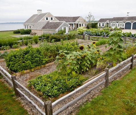 brewster-garden-edible-kitchen-vegetables-gardenista Cheap Landscaping Ideas, Seaside Garden, Plants Growing, Coastal Gardens, Garden Photography, Front Yard Landscaping Design, Joanna Gaines, Veggie Garden, Farm Gardens