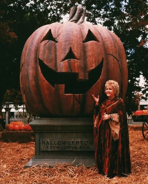 Halloween Town Disney, Halloween Films, Imprimibles Halloween, Studera Motivation, Herbst Bucket List, Image Halloween, Disneyland Halloween, Carved Pumpkin, Adornos Halloween