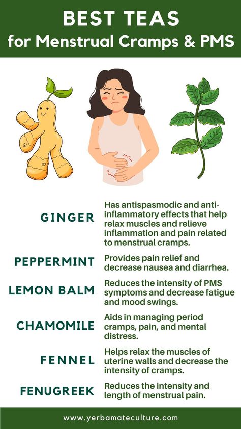 6 Best Herbal Teas for Menstrual Cramps and PMS Teas For Period, Menstrual Tea, Tea For Menstrual Cramps, Fenugreek Tea, Best Herbal Teas, Period Cramp Relief, Monthly Cycle, Healthy Period, Best Teas