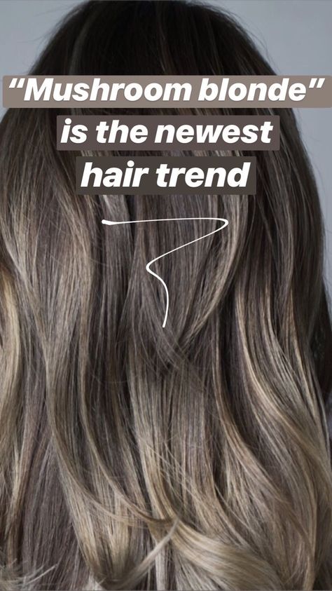 Mushroom Blonde Hair, Mushroom Blonde, New Hair Color Trends, Mushroom Hair, Ash Brown Hair, New Hair Trends, Blond Balayage, Balayage Blonde, Low Maintenance Hair