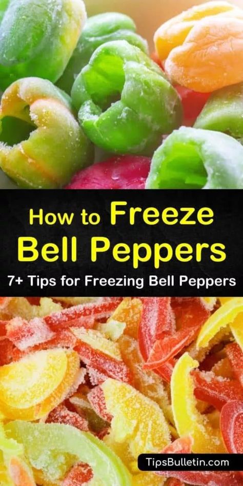 Freeze Bell Peppers, Freezing Green Peppers, Canning Bell Peppers, Red Bell Pepper Recipes, Freezing Bell Peppers, Freezing Peppers, Freezing Vegetables, Bell Pepper Recipes, Freezer Meal Prep