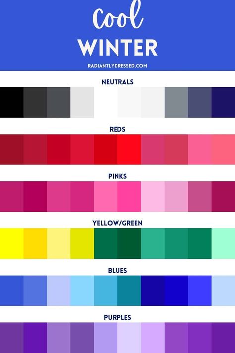 True Cool Color Palette, Cool Winter Eyes, Cold Winter Color Type, Capsule Wardrobe True Winter, Vivid Winter Color Palettes, Winter Pallet Color, True Winter Capsule Wardrobe, Winter Cool Palette, Winter Season Color Palette