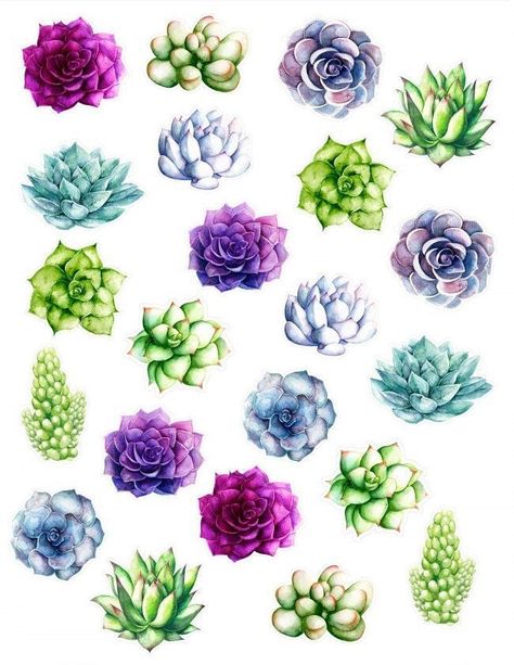 Succulents Stickers, Succulent Printable, Succulent Tattoo, Succulents Drawing, Sticker Printable, Cactus Stickers, Succulent Art, Free Printable Stickers, Sticker Bomb