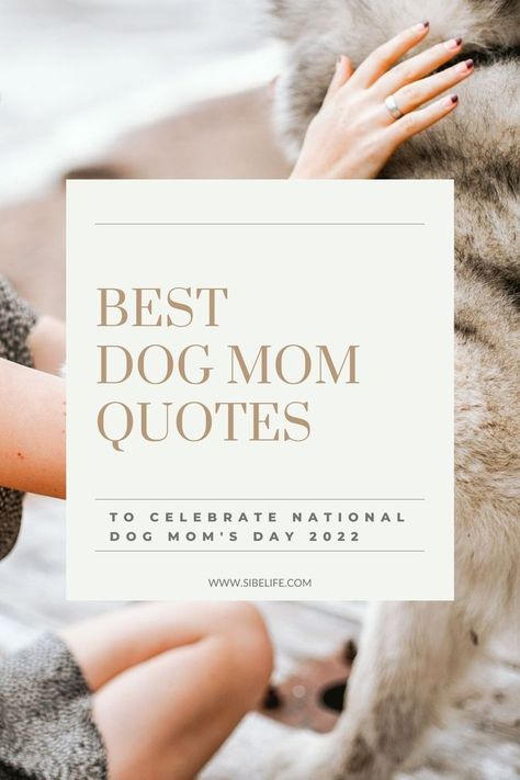 National Dog Mom's Day is such a special day for us dog moms! So, in honor of this upcoming National Dog Mom's Day, I put together 85 dog mom quotes to celebrate us! Share these heartwarming dog mom quotes with your dog mom friends or use them for your Instagram caption! #dogmomquotes #dogmomlife #dogquotes #dogmomsayings Proud Dog Mom Quotes, Dog Mom Quotes Mothers Day, My Puppy Quotes, I Love My Dog Quotes Funny, Dog Mommy Quotes, Dog Is My Best Friend Quote, My Dog Saved My Life Quotes, Dogs Are The Best Quotes, Dog Is Better Than Human Quotes