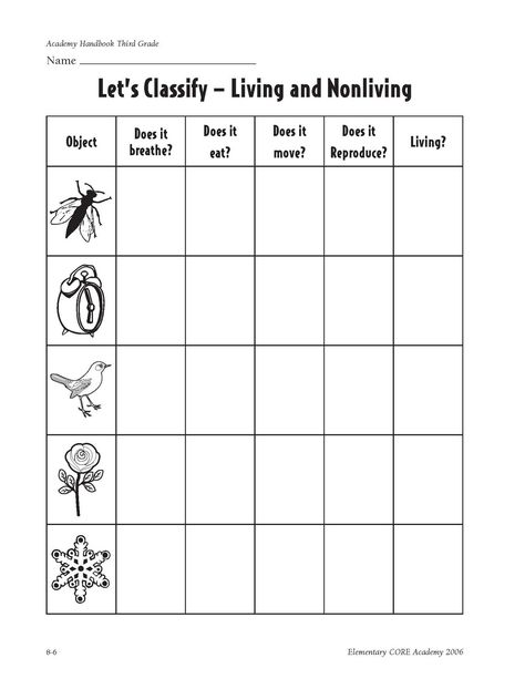 Characteristics of Living Things     Made of Cells  Obtain and Use Energy  Grow and Develop   Reproduce  Respond to Their Environment  Ada... Stem Worksheets, Ks1 Science, Non Living Things, Characteristics Of Living Things, Living And Nonliving, Biology Worksheet, Second Grade Science, 1st Grade Science, First Grade Science