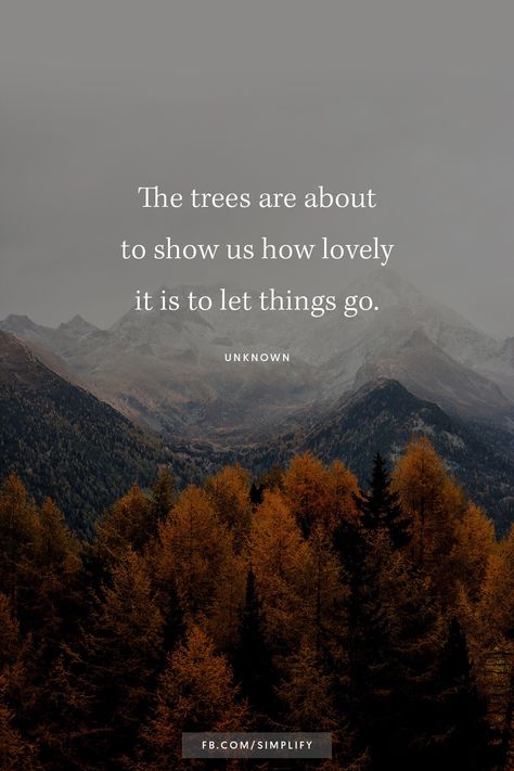 Season Quotes, Letting Go Quotes, Vibe Quote, Happy October, Garden Quotes, Autumn Quotes, Fall Feels, Nature Quotes, Show Us