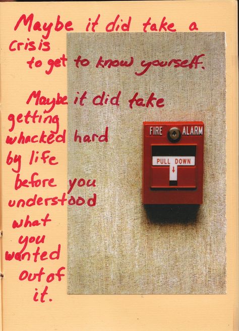 Maybe it did take a crisis to get to know yourself. Maybe it did take getting whacked hard by life before you understood what you wanted out of it. Anais Nin Quiet Life, Fast Times, New Energy, What’s Going On, Getting To Know You, Quote Aesthetic, Pretty Words, Pretty Quotes, Stardust