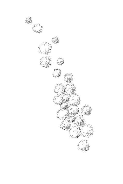 drawing of patch of forest in elevation using cad blocks Tree Plan Photoshop, Tree Plan Png, Architectural Trees, Movement In Architecture, Architecture Symbols, Plan And Elevation, Photoshop Landscape, Landscape Architecture Plan, Tree Collage