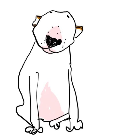 Bull Terrier Funny, Bull Terrier Art, Mini Bull Terriers, Miniature Bull Terrier, Drawing Dog, Dog Grooming Business, Black Lab Puppies, Cute Dog Pictures, English Bull Terriers