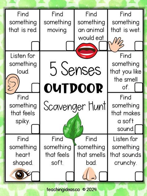 Free 5 Senses Scavenger Hunt Texture Scavenger Hunt, Halloween 5 Senses Activities, Five Senses Scavenger Hunt, Listening Walk Scavenger Hunt, Senses Stem Activities, 5 Senses Lesson Plans Preschool, Toddler 5 Senses Activities, 5 Senses Prek, 5 Senses Lesson Plan