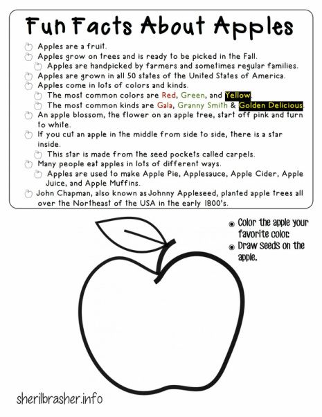 Preschool Printables: Fun Facts About Apples #activities #theme #unit Apples Prek, Apples Activities, Fall Facts, Apple Facts, Preschool Weekly Lesson Plans, Phonics Reading Passages, Apple Lessons, September Crafts, Preschool Crafts Fall