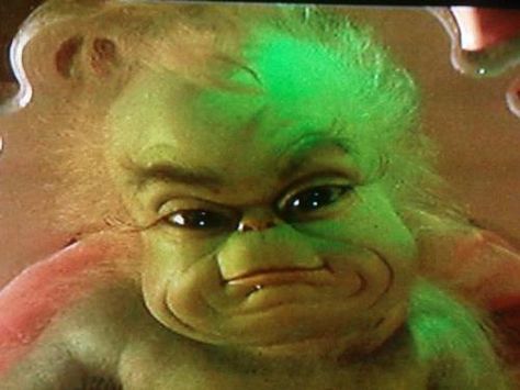 The baby Grinch Grinch Memes, Grinch Baby, Le Grinch, Baby Grinch, Mr Grinch, Monkeys Funny, Grinch Stole Christmas, Funny Profile, Wallpaper Iphone Christmas