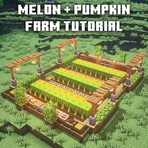 Minecraft Melon Farm, Minecraft Layouts, Minecraft Obsidian, Minecraft Automatic Farm, Minecraft Farmen, Minecraft Circles, Minecraft Pumpkin, Minecraft Building Blueprints, Construction Minecraft