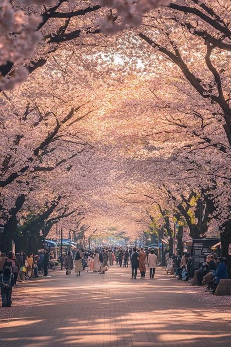 "🌸🏯 Experience the charm of Ueno Park in Tokyo! Stroll through lush gardens, visit museums, and enjoy seasonal cherry blossoms in this historic urban park. ��🌳🗼 #UenoPark #Tokyo #CherryBlossoms" Ueno Park Tokyo, Japan Temple, Ueno Park, Urban Park, Pretty Landscapes, Lush Garden, Green Space, Tokyo Japan, Cherry Blossoms