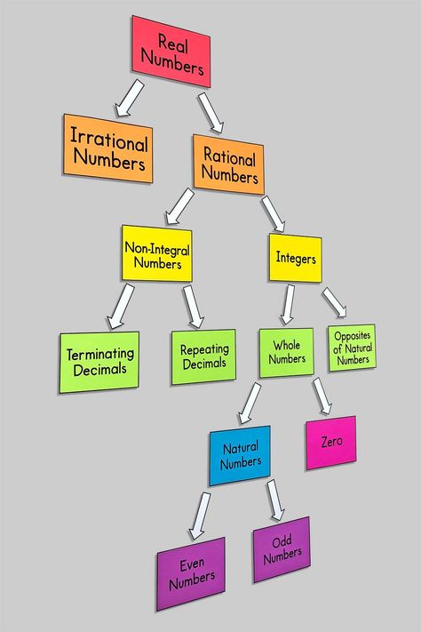 Classification Of Numbers, Statistics Classroom Decor, Mathematics Charts For Classroom, Maths Chart Ideas Class 8, Maths Decorations Classroom, Maths Chart Ideas For Classroom, Math Chart Ideas, Maths Expo Ideas, Maths Lab Decoration Ideas