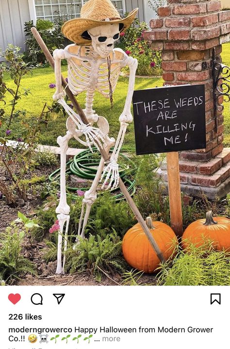 Halloween Mailbox Skeleton, Skeleton In Wheelbarrow, Decorating Skeletons For Halloween, Halloween Skeletons Yard Scary, Lifesize Skeleton Ideas, Skeleton In Cauldron, Halloween Theme Decorations Outdoor, Halloween Farm Animals, Life Size Skeleton Ideas