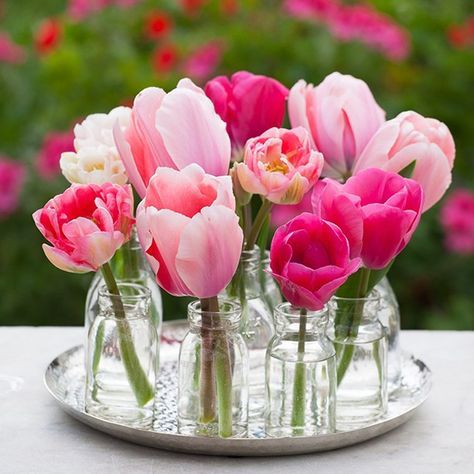 Sarah Raven on Instagram: “Tulips 'Angelique' and 'Barcelona' make a simple but stunning arrangement #tulips #sarahravenperchhill #fromsarahraven…” Wedding Colour Schemes, Tulpen Arrangements, Tulip Centerpiece, Sage Green Wedding Colors, Wedding Color Schemes Spring, Wedding Flowers Tulips, Kiss The Bride, Tulip Decor, Sarah Raven