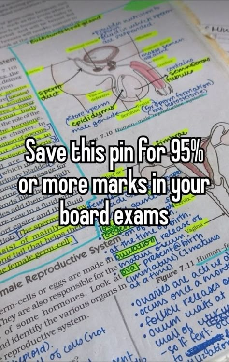 #study #academics #95% #academicvalidation #academia #marks #academicyear #studentyear #book #science 10th Board Exam Tips, 10th Boards, Aesthetic Notes Study Inspiration, Good Luck For Exams, Geography Notes, Smart Study, Studie Hacks, You Are My Moon, Exam Motivation