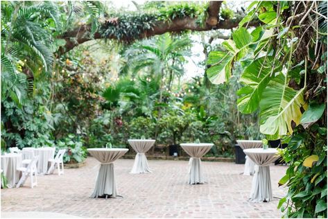 Sunken Gardens Wedding Photos | Nikki Matt | Brittany Pannebaker Sunken Gardens Wedding, Sunken Gardens, Sunken Garden, St Petersburg Florida, Gardens Wedding, Wedding Officiant, Wedding Catering, Butterfly Garden, Tropical Wedding