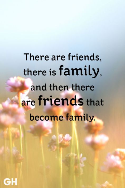 Cute Best Friend Quotes, Friends Are Family Quotes, Friendship Messages, Family Quotes Inspirational, Short Friendship Quotes, True Friendship Quotes, Best Friendship Quotes, Forever Quotes, Friends Forever Quotes