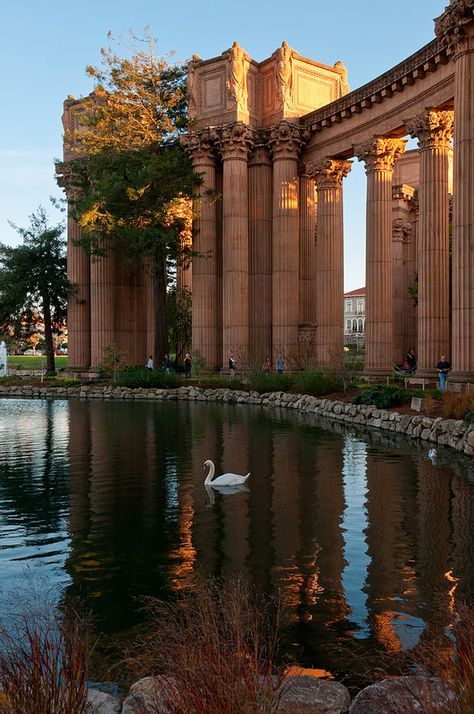 Museum of Fine Arts, San Francisco, California Palace Of Fine Arts San Francisco, Palace Of Fine Arts, Beautiful Places To Travel, Museum Of Fine Arts, Pretty Places, Fantasy Landscape, Travel Aesthetic, Art And Architecture, Nature Pictures