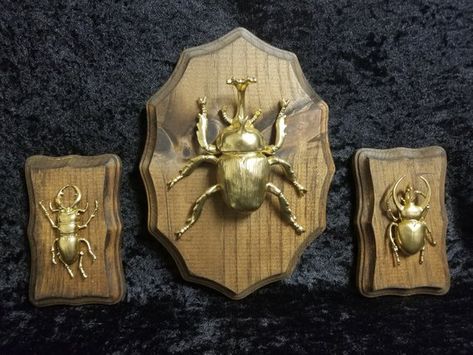 Gold Bug Art//Gold Insect Art//Insect Home Decor//Faux Insect Taxidermy//Beetle Art//Framed Beetles Beetle Wall Decor, Taxidermy Beetle, Victorian Gothic Home Decor, Rhinoceros Beetle, Framed Insect, Beetle Art, Insect Taxidermy, How To Make Frames, Bug Art