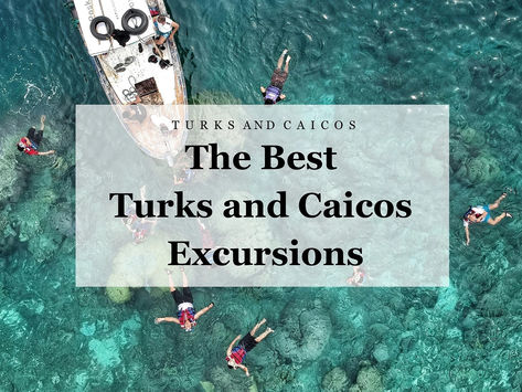 Whether you're a nature enthusiast, a thrill-seeker, or just need to unwind, these are our top-rated Turks and Caicos excursions. Join us! The Palms Turks And Caicos, Turk And Caicos, Nature Enthusiast, Thrill Seeker, Christmas Travel, Turks And Caicos, Top Rated, Trip Planning, Join Us