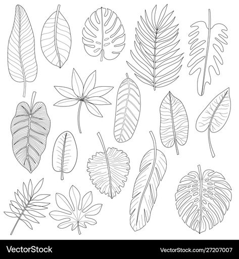 Coloring Set, Leaf Collection, Leaf Outline, T Shirt Prints, Lino Art, Tropical Background, Leaf Border, Pothos Plant, Black Leaves