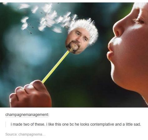 15 Guy Fieri Memes That'll Ship You Right Over To Flavortown Meme Humor, Boring Day, Guy Fieri, Morning Humor, Morning Pictures, Funny Meme, What’s Going On, Bones Funny, Reaction Pictures