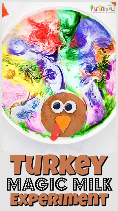 Looking for a fun turkey activity for fall? This turkey science experiment combines november activities with a playful thanksgiving science.You will love the simplicity and beautiful of this clever twist on the magic milk experiment for toddler, preschool, pre-k, kindergarten, first grade, 2nd grade, and 3rd graders too. Turkey Science, Fall Science Activities, Milk Experiment, Pumpkin Math Activities, Milk Science Experiment, Thanksgiving Lesson Plans, Painted Turkey, Thanksgiving Stem, Magic Milk