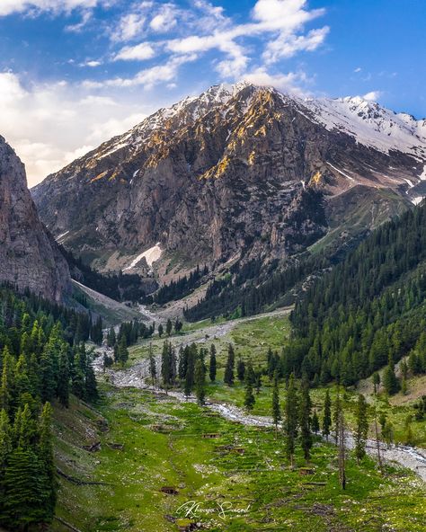 Janshae Meadows , Swat Valley - Pakistan Pakistan Swat Valley, Swat Valley Pakistan, Pakistan Aesthetic, Swat Pakistan, Pakistan Culture, Swat Valley, Beautiful Pakistan, Desi Aesthetic, Love Picture Quotes