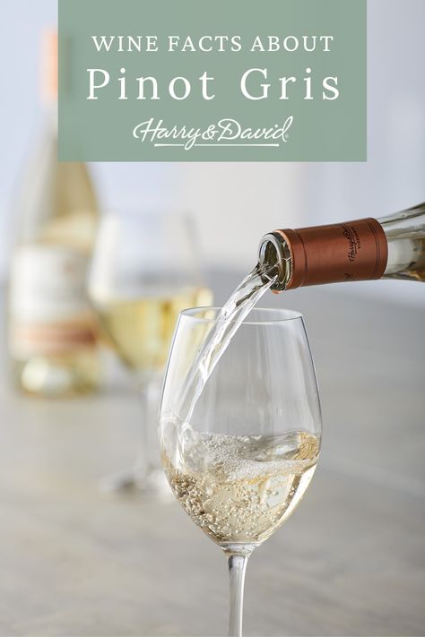 You never know when you might need to know facts about pinot gris wine or find the perfect pinot grigio food pairing. Save this basic wine guide for just such an occasion! Pinot Gris Pairing, Wine Facts, Pinot Noir Grapes, Wine 101, Harry & David, White Grape, Food Pairing, Wine Guide, Pinot Gris