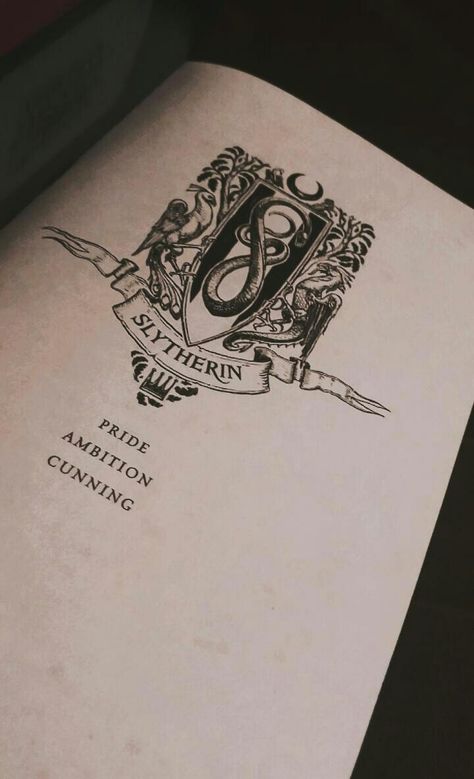 Hogwarts Slytherin Wallpaper, Black And White Slytherin Aesthetic, Dark Academia Aesthetic Slytherin, Slytherin Book Aesthetic, Slytherin Aesthetic Tattoo, Slytherincore Wallpaper, Hogwarts Aesthetic Wallpaper Dark, Dark Academia Ig Story, Dark Arts Aesthetics Harry Potter