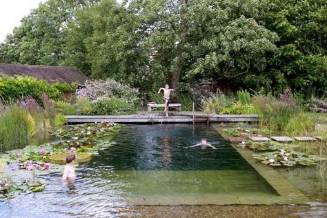 Swimming Pool Pond, Natural Swimming Ponds, Aquatic Garden, Water World, Pool Landscape Design, Swimming Pond, Natural Pond, Natural Swimming Pools, Piscina Natural