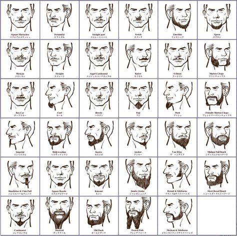 Beard chart... might just have to try something new Types Of Mustaches, Patchy Beard Styles, Beard Styles Bald, Beard Styles Shape, Faded Beard Styles, Hair Growth Charts, Long Beard Styles, Patchy Beard, Best Hair Dye