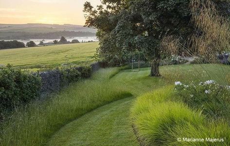 Country Garden Design, Wild Flower Meadow, Meadow Garden, Wild Country, Garden Design Layout, Luxury Garden, Formal Gardens, Country Garden, Modern Landscaping