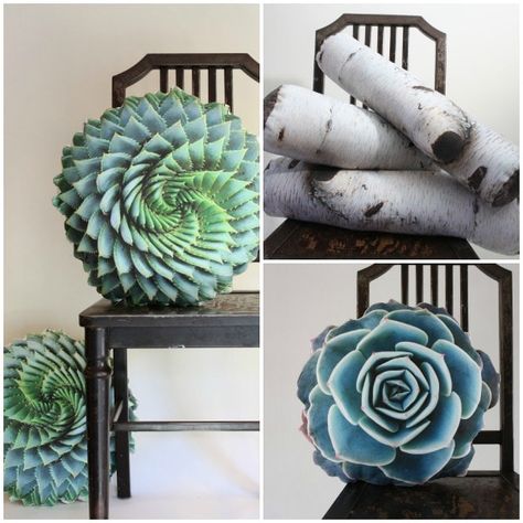 Succulent pillows (and birch logs and pinecone) by Plantillo Succulent Pillows, Succulent Pillow, Birch Logs, Living Space Decor, Tumblr Rooms, Succulents Decor, Garden Theme, Pillow Cushion, Handmade Shop