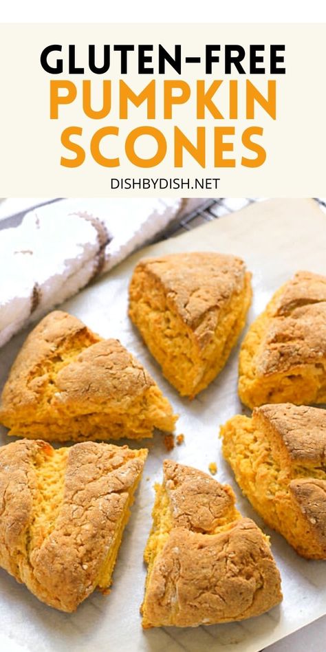 These deliciously tender pumpkin scones are bursting with the flavors of pumpkin and fall, and are just the right snack for anytime of the day! Also gluten-free. | gluten free baking | pumpkin recipes | gluten free pumpkin scones | fall baking | healthy pumpkin recipes | healthy snacks gluten free | how to make pumpkin scones | fall recipes | easy recipes pumpkin | vegetarian recipes | how to make scones | scones pumpkin recipe #glutenfree #scones #pumpkinseason #pumpkinrecipes Pumpkin Recipes Gluten Free, Scones Pumpkin, Scones Gluten Free, Pecan Scones, Healthy Scones, Pumpkin Scones Recipe, Gluten Free Pumpkin Recipes, How To Make Scones, Thanksgiving Snacks