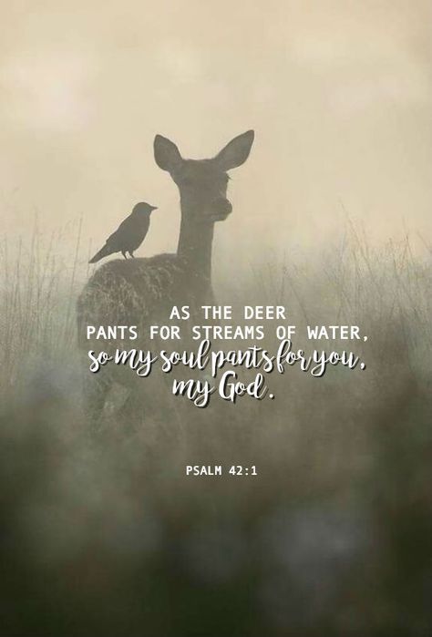 Psalm 42:1 (NIV) - As the deer pants for streams of water,    so my soul pants for You, my God. Psalm 42 1, As The Deer, Streams Of Water, God Is In Control, Psalm 42, Ayat Alkitab, Lord God, Inspirational Quotes God, Inspirational Bible Quotes