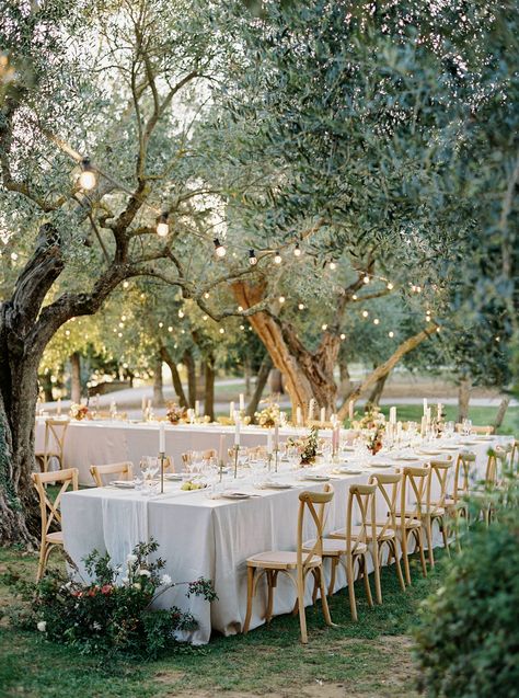 An open air wedding reception under the olive trees at Terre Di Nano. Italian Simple Wedding, Outdoor Italian Wedding Reception, Olive Rustic Wedding, Spring Italy Wedding, Tuscan Themed Wedding Reception, Open Air Wedding Reception, Outdoor Tuscan Wedding, Wedding Reception Ideas Green, Italian Farmhouse Wedding