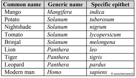 Important Notes For NEET Biology - The Living World - LearnAVE The Living World Neet Notes, Living World Notes For Neet, Living World Class 11 Notes, The Living World Notes Biology, Botany Notes, Biology Class 11, Notes Biology, Neet Biology, Neet Notes