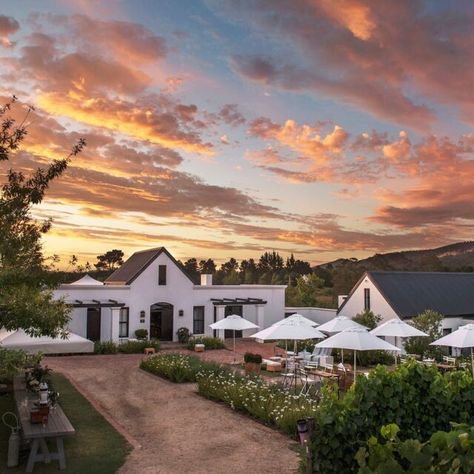 Wine Farm, Pinot Noir Grapes, Wine Boutique, Farm Restaurant, Plettenberg Bay, Nature Valley, Knysna, Best Wine, Bay Wedding